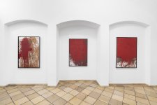 2026_07_14_Suppan_000012_web
