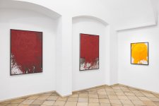 2026_07_14_Suppan_000023_web